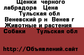 Щенки  черного лабрадора › Цена ­ 7 000 - Тульская обл., Веневский р-н, Венев г. Животные и растения » Собаки   . Тульская обл.